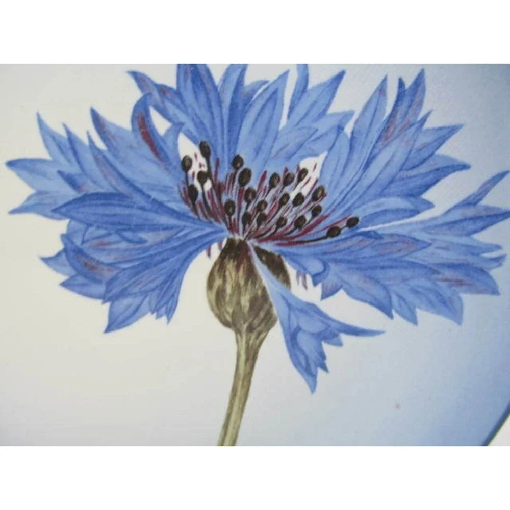 Noritake Colorwave Blue Cornflower 8 3/8